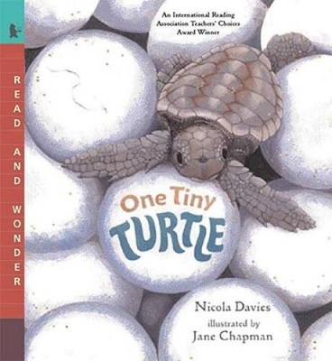 One Tiny Turtle (Turtleback School  Library Binding Edition) (Read and W - GOOD
