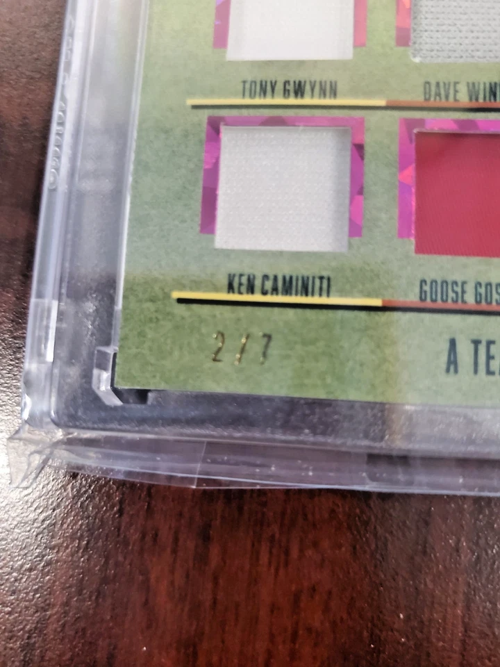 Leaf Seasons In The Sun 2025 A Team For The Ages San Diego Padres Foto 3 de 4