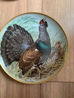 Limitierte Sammel - Porzellanteller Franklin Mint Wild Vögel Motiv 1979