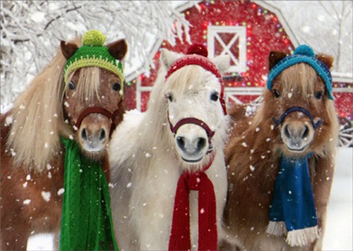 Scarves Box of 10 Christmas Cards 