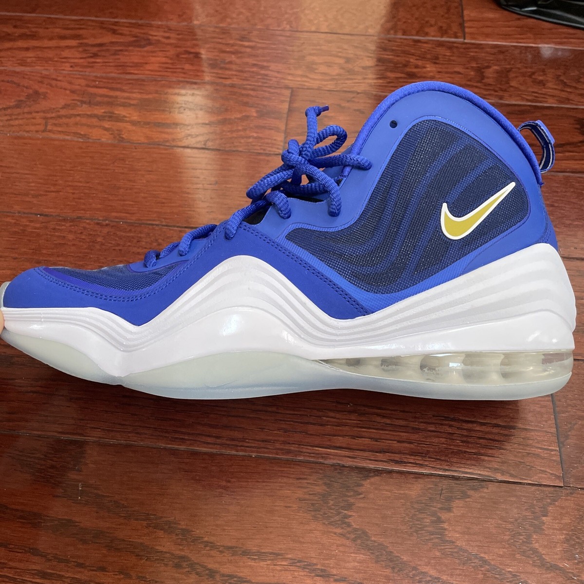 Size 12 Nike Air Penny Blue Chips 2020