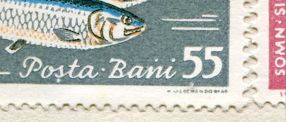 Rumania 1960 pez fauna marina, extremadamente raro FDC 55 Bani sello error "Baini" Foto 2 de 2