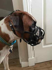 Light leather Dog Muzzle for Boxer and Other dogs with short snout