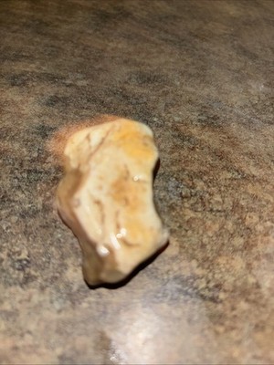 Beautiful Southwest Ohio River Valley Chert Chalcedony Banded Common Opal Stone