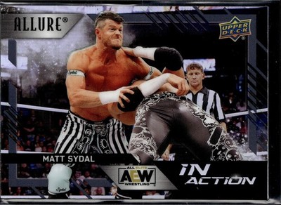 2024 Upper Deck Allure AEW In Action Black Rainbow Matt Sydal Evan Bourne IA-14