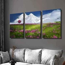 3pcs Snow Capped Mountain & Wildflowers Wall Art Canvas Framed 50x70cm