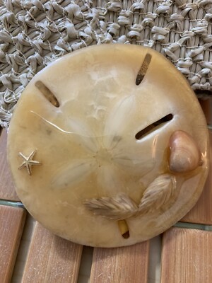 Vintage Sand Dollar Charmant Belt Beverly Hills Stretchy Beach Cottagecore Sz XL Vintage 80 main image 2