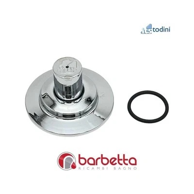 PULSANTE COMANDO PER CURVA RICAMBIO ITS TODINI 1.15/C