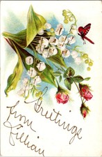 Butterfly Featured on Interesting Vintage Greeting Postcard m/12 BJ3119