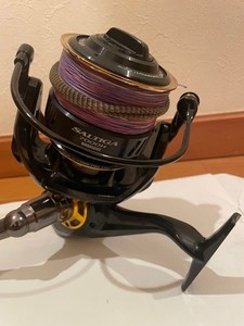 Daiwa Saltiga Dogfight | eBay