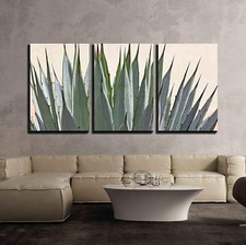Wall26 - Cactus Detail - Canvas Art Wall Decor - 16"x24"x3 Panels