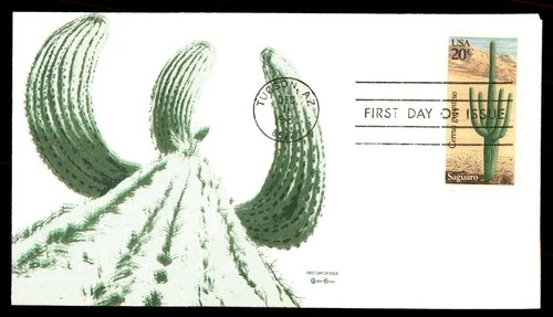 Mayfairstamps US FDC 1981 Saguaro Cactus First Day Cover aax_37729