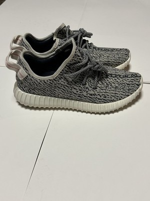 turtle dove v2