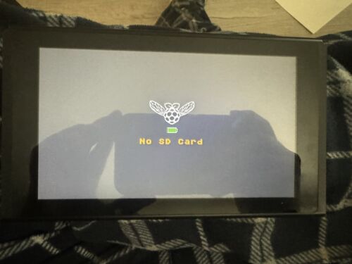 Nintendo Switch V1 Hekate RP2040 Console Only