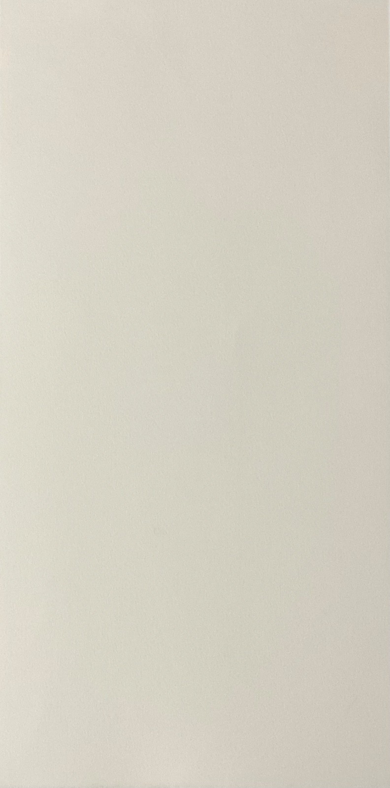 Arnaldo Tomato Screen Printing (Warhol Meggiato Botero Pablo Picasso Zaza Hirst)