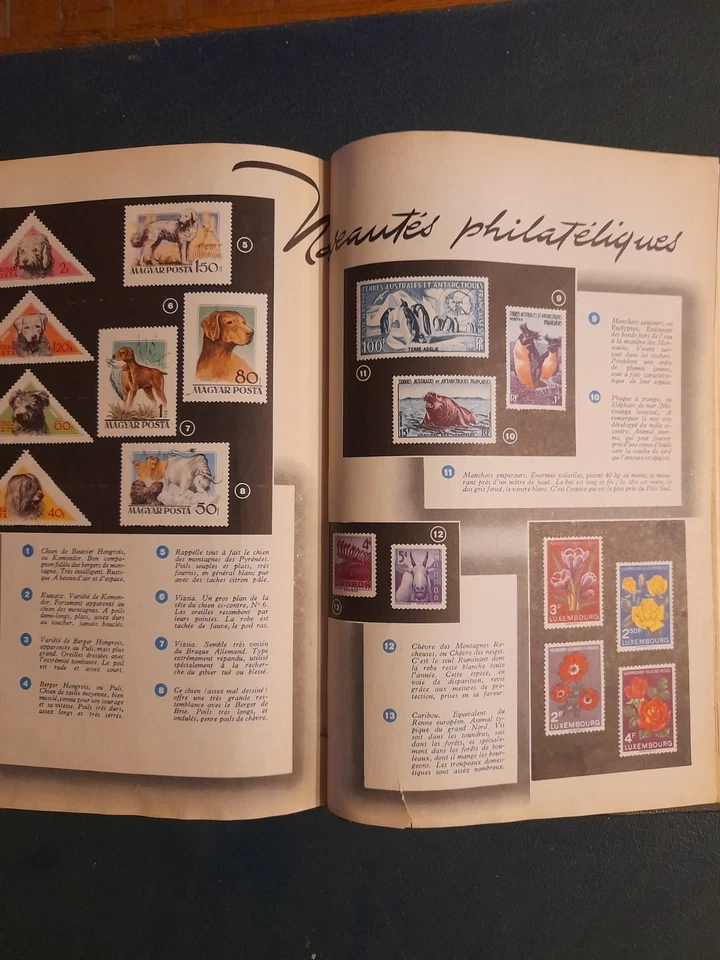 Naturalia. Publication mensuelle. Tout 1956 relié ensemble - Photo 3/4