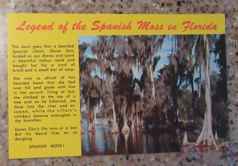 Postcard Legend of the Spanish Moss in Florida USA
