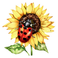 Wandtattoo Aufkleber Marienkäfer mit Sonnenblume Wandaufkleber 18X18 cm Groß