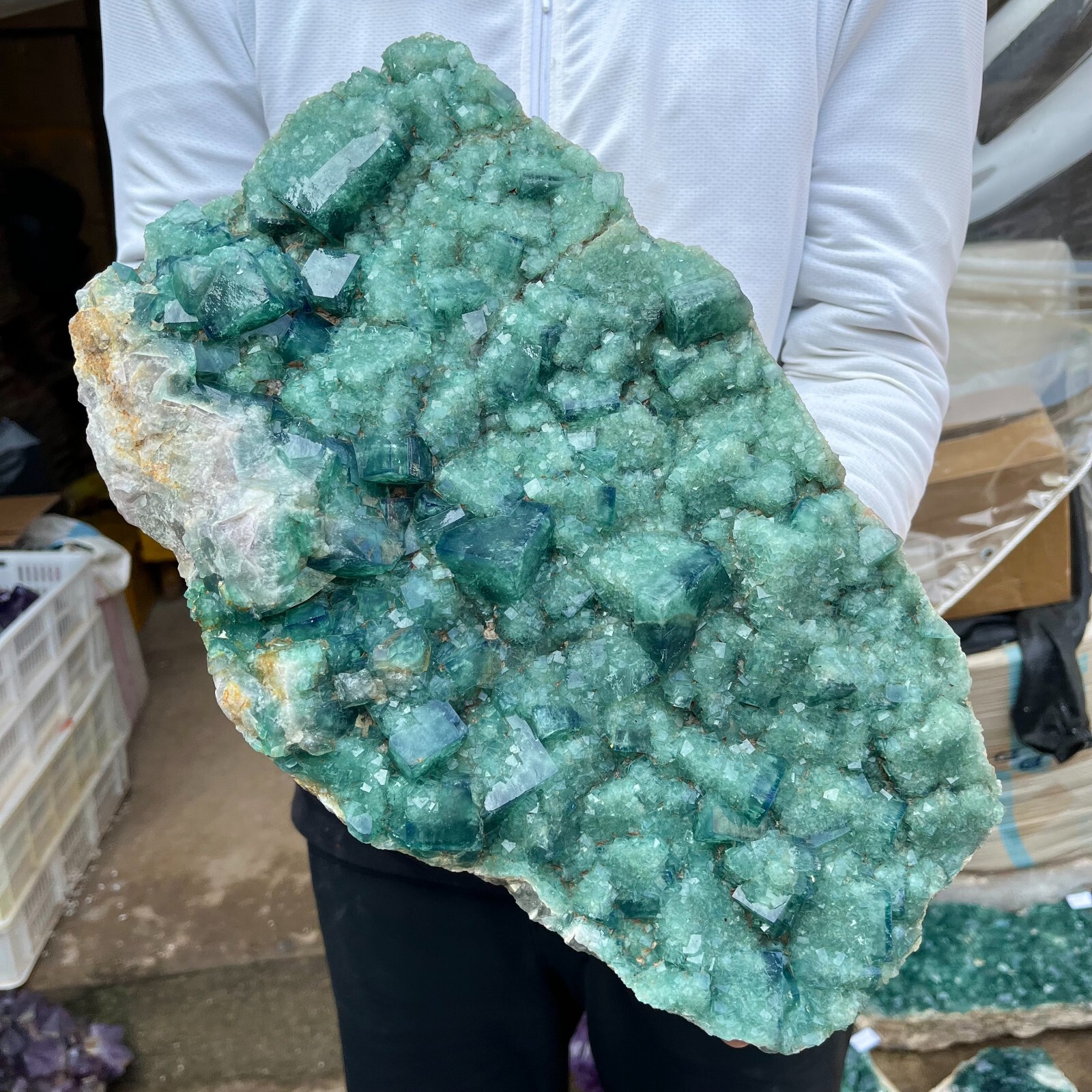 31.8lb Natural Green Fluorite Crystal Quartz Cluster Specimen for Healing