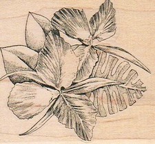 Leafy 2 1/2 x 2 1/2" Rubber Stamp, Plants Stamp, Flowers, Trees