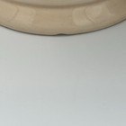 Bild 7 von 8