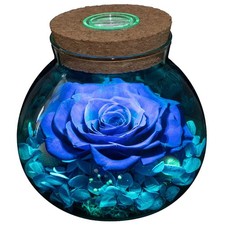 Preserved Real Roses with Colorful Mood Light Wishing Bottle, Eternal Rose 6529