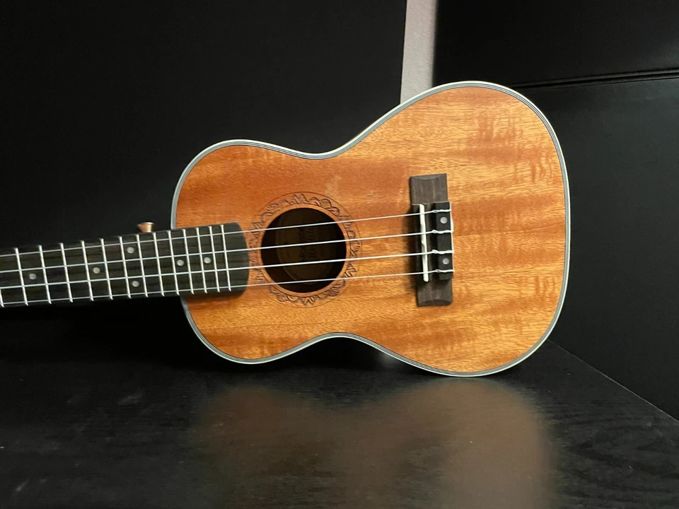 Nuevo ukelele de concierto de 22 pulgadas ukelele caoba con estuche de bolsa, cuerdas, púas Foto 4 de 4