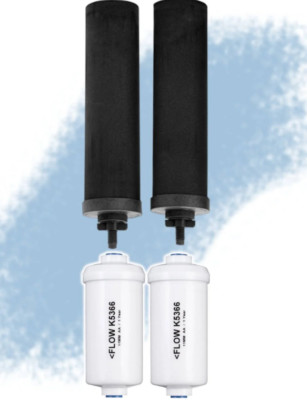Water Filter Replacement Bundle Berkey, 2 Black + 2 Fluoride, High-Efficiency