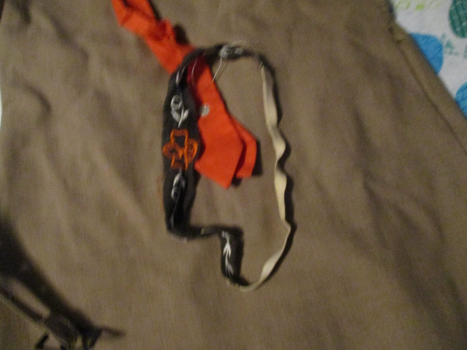 Picture 10 of 10