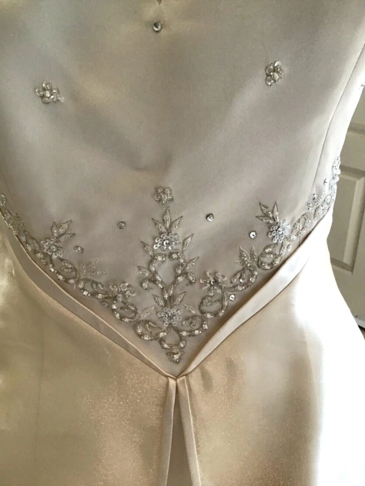 GINZA NUEVO Vestido de Novia Vestido de Novia Marfil/Champán Bordado Organza 12 EE. UU. Foto 4 de 4