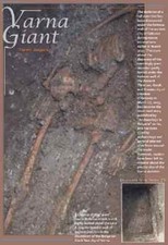 Varna Giant / Giant Human skeleton / 13 x 19 poster