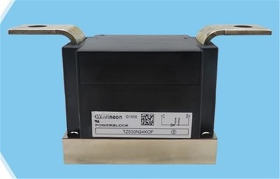 1Pc New TZ630N24KOF Module vb