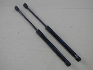 BMW X5 E70 X6 E71 Motorhaube Frontklappe Dämpfer 2x Gasfeder 7148346