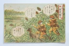 WW2 Military Japan Army COMIC PC Scouting in the corns D07 Onodera