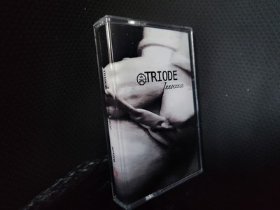 Triode CASSETTE Innocence 2024 Electro-Industrial Delerium Front Line Assembly 