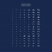 Mammal Hands Captured Spirits (Cd) Album (Us Import)