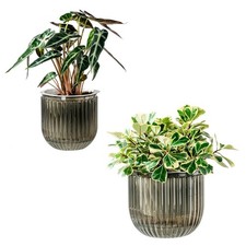 Self Watering Pots for Indoor Plants Planter, 8.3/5.3 Inch 2 Pack Planters Se...