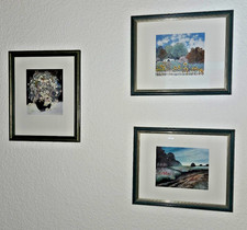 3 Kunstdrucke u.a. Heide Dahl / Bilder / Wandbilder mit Rahmen / Landschaft