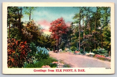 Vintage Postcard Elk Point South Dakota Greetings Scenic View USA Unposted