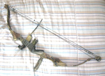 GOLDEN EAGLE COMPOUND BOW | eBay