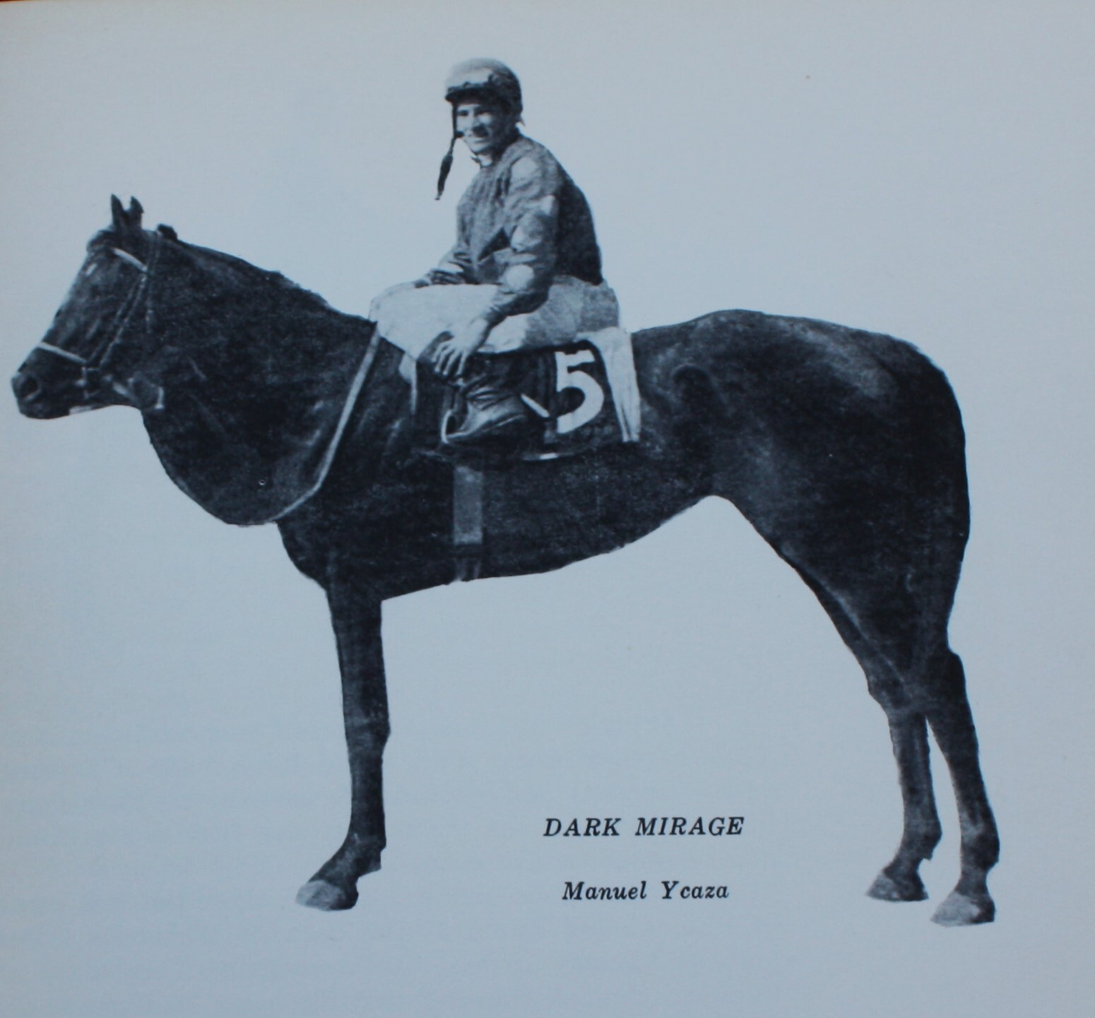 Horse Racing Book Ten Commandments for Professional Handicapping 1st