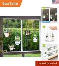 Static Cling Hanging Plant Window Decals - 5 Hand-Illustrated Floral Designs