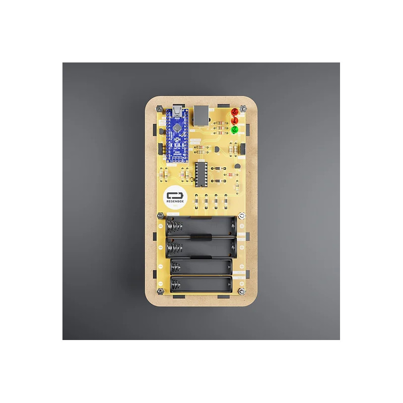 Kit RegenBox et module datalogging pour trier et tester les piles usagées
