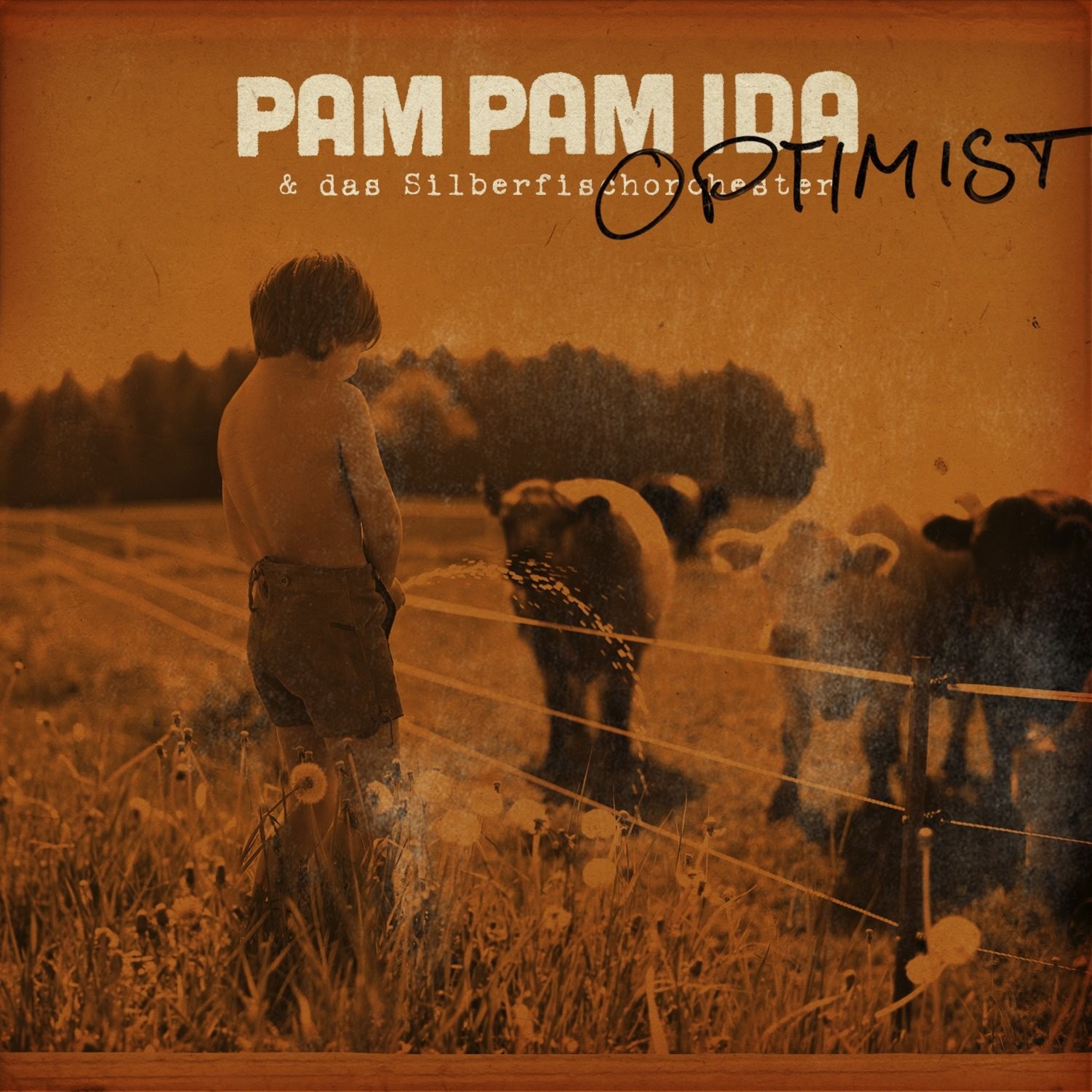 Pam Pam Ida Optimist (CD)