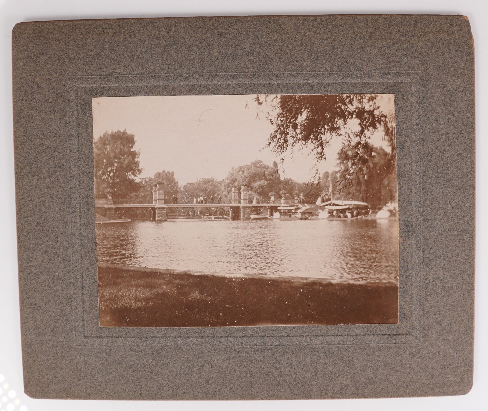 Antique Cabinet Card Bridge Swan Boats Boston Public Garden