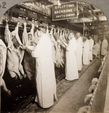 Keystone Stereoview Splitting Hog Backbones, Chicago, IL Education Set #142 A