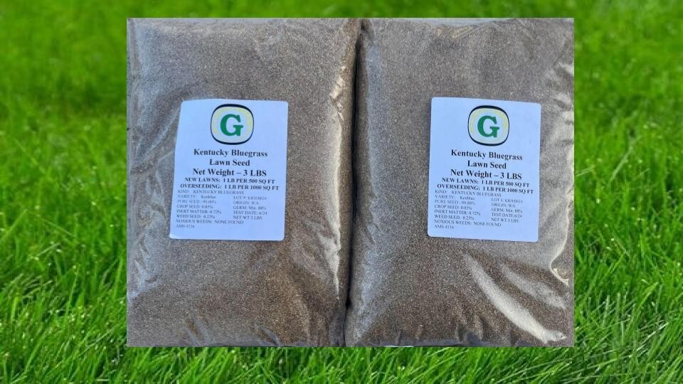 Kentucky Bluegrass Grass Seed - 6 lbs - Direct from Grower - Beautiful Lawn!