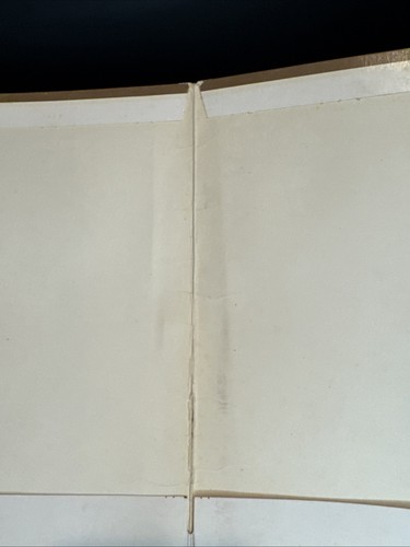 1981 TSR - St Regis - Advanced Dungeons & Dragons - Playing Aids Portfolio - Picture 12 of 15