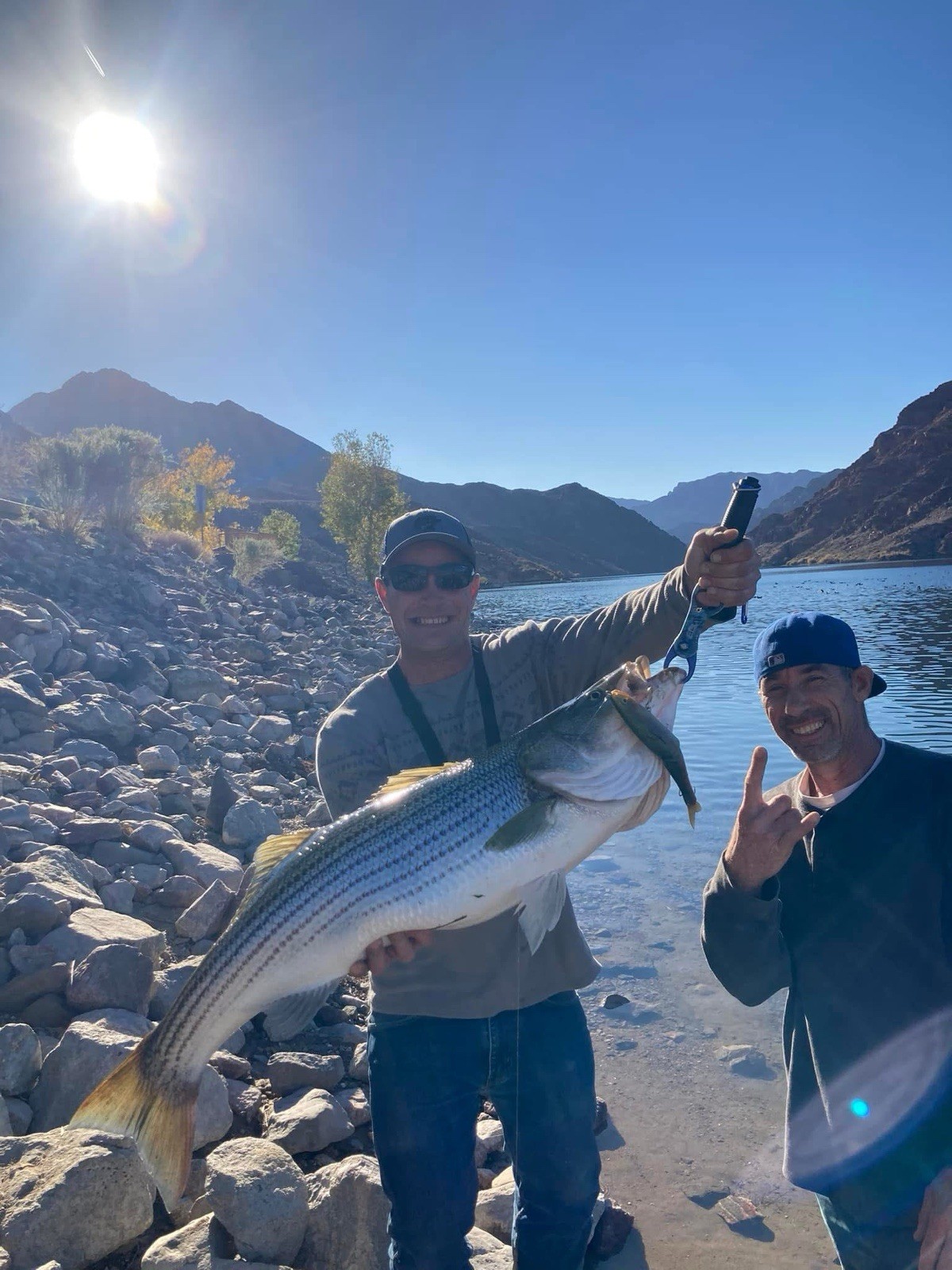 Rainbow Trout, Handmade Glider Swimbait (9”in.) 4oz. Made From Yellow Heart Wood - Image 13