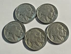 A Lot of 5 1936  Buffalo Nickel Fine to Very Fine Details Plastic Protector Inc